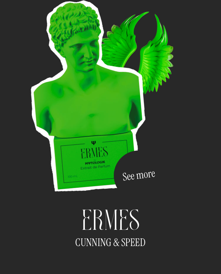 ERMES- Parfum homme essence 30%
100 ml Product vendor