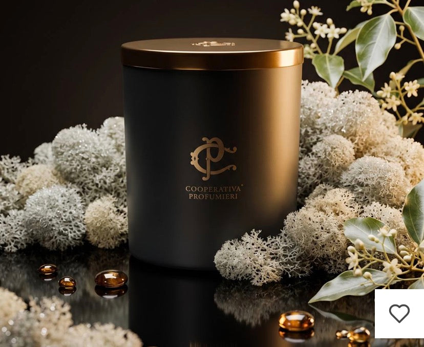 MUSKÉ – Bougie Parfumée Cooperativa Profumieri
400 gr | Musc blanc Product vendor