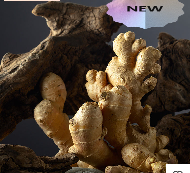 Divine Aura - Parfum Femme
70 ml | Essence 30%- inspiré de GODDESS Product vendor