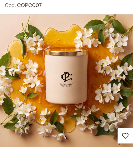 MÉLIA – Bougie Parfumée
400 gr | Miel & Jasmin Product vendor